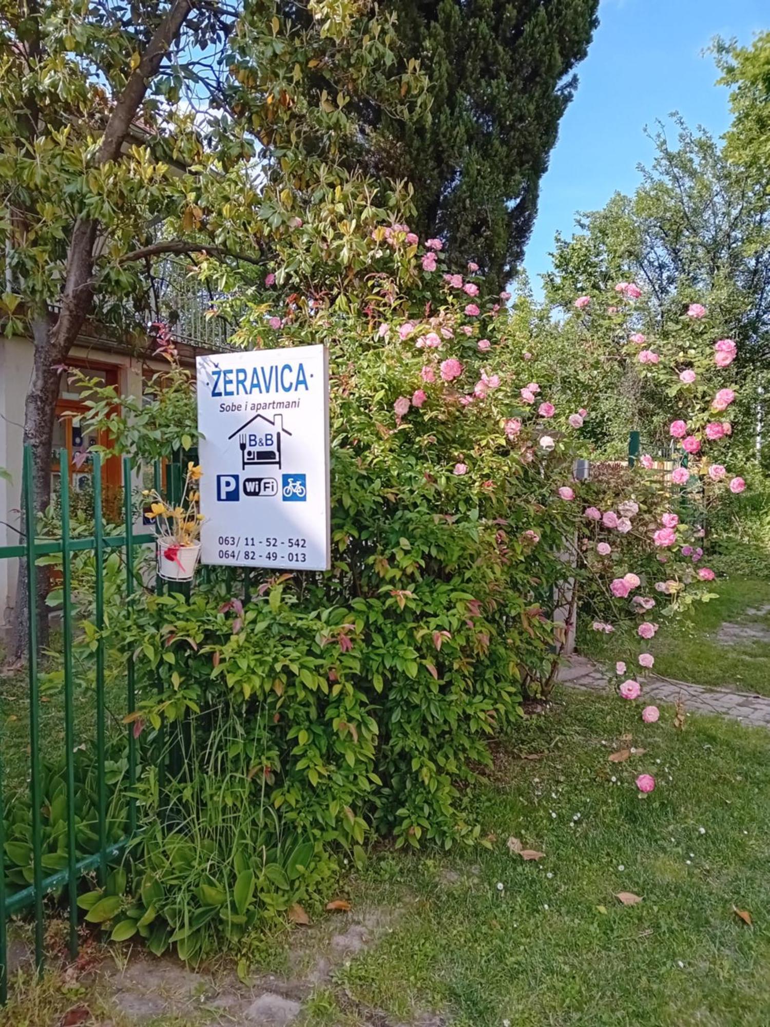 Zeravica Rooms B&B 斯雷姆斯基卡尔洛夫奇 外观 照片
